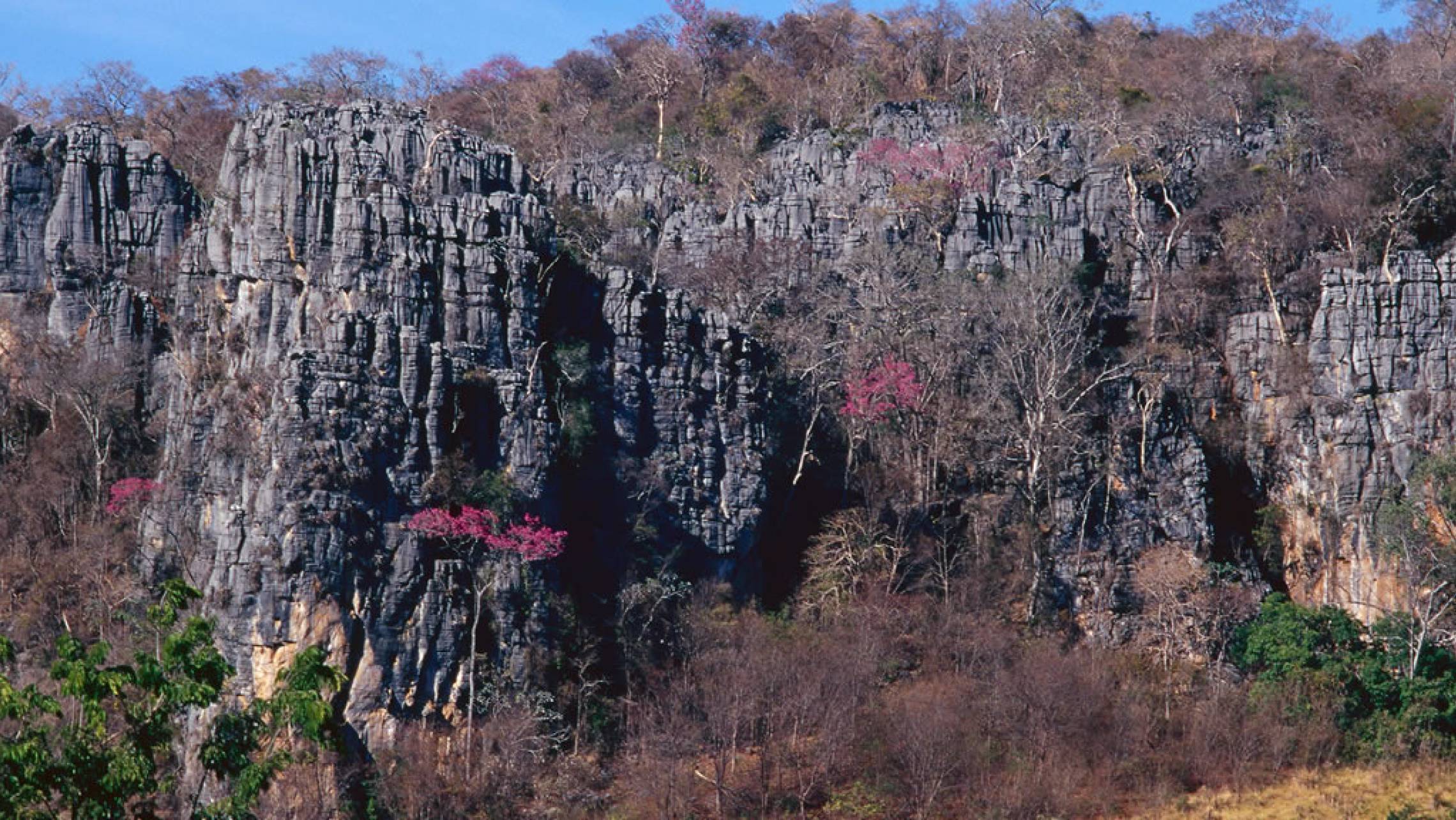 Cavernas do Peruaçu